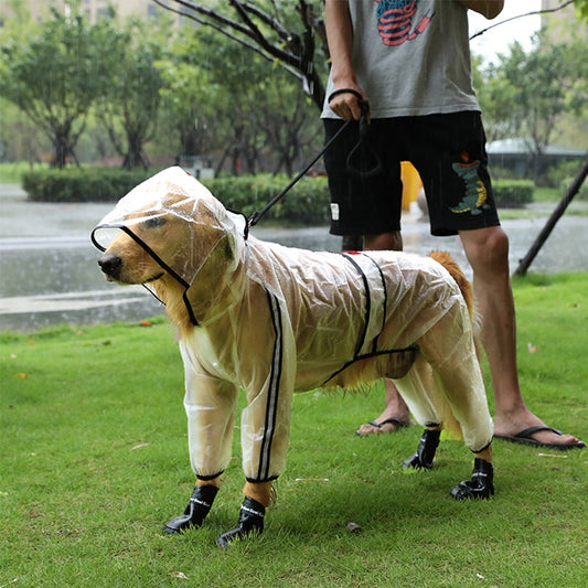 Transparent Dog Raincoat