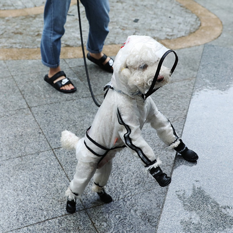 Transparent Dog Raincoat