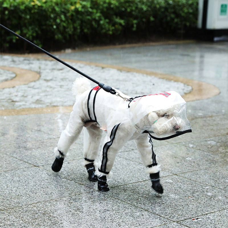 Transparent Dog Raincoat